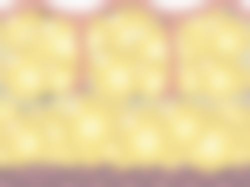 五、儋州魅力牙科诊所怎么预约：