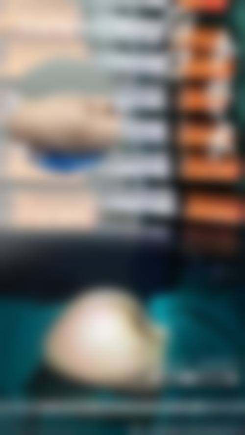 六、首都医 科 大学附属北京儿童医院（整形外科）价格表：（仅供参考）