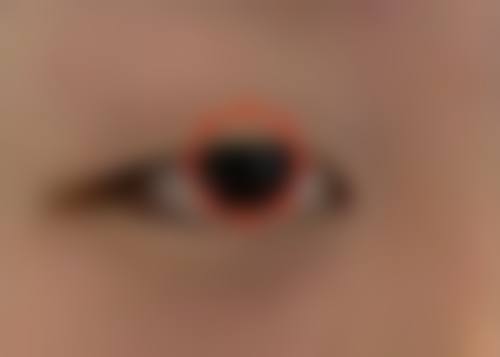 四、香港中西美生堂医学整形美容中 心开展的主要项目和特色项目：