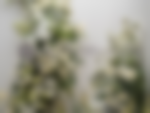 五、上海秋天的雪门诊部实例：