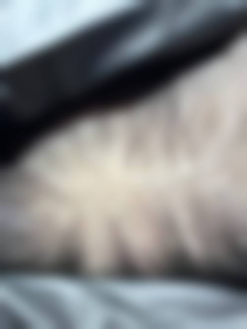 二、重庆厚森植发正规吗?来看看医院资质: