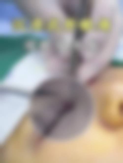 四、武汉保加医疗美容门诊部开展的主要项目和特色项目：