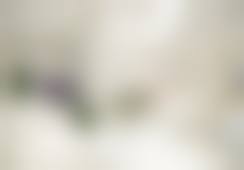 四、武汉颜范天美医疗美容门诊部基本信息：