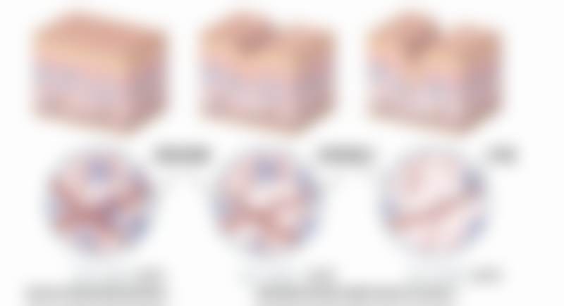 广州高尚医学美容中 心李春明医生审美优势