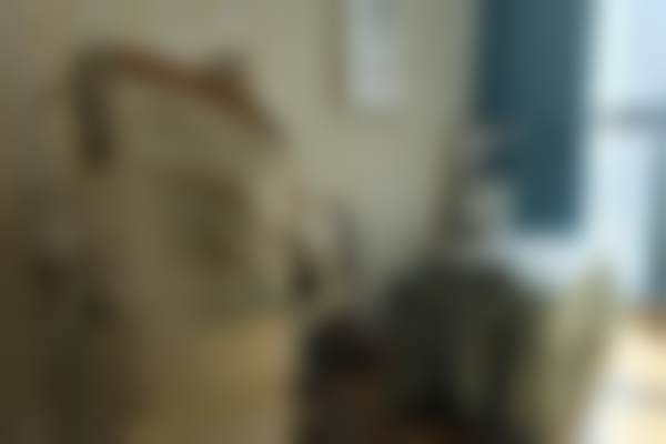 七、郑州枝蔓医疗美容诊所价格表：（仅供参考）