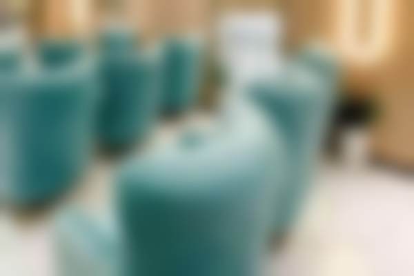 六、上海维莎医疗美容门诊部怎么预约：