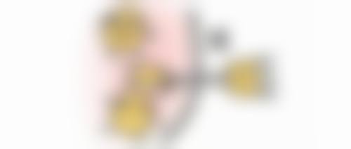 五、重庆张瑜整形医疗美容怎么预约：