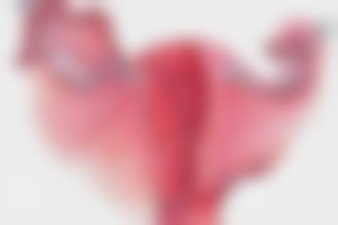 三、重庆张瑜整形医疗美容基本信息：