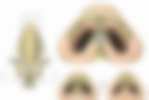 七、福州伊薇整形医院真实的顾客评价如下：