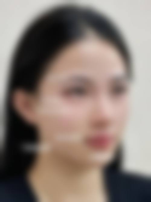 三、韩国金仁键整形美容医院医生介绍: