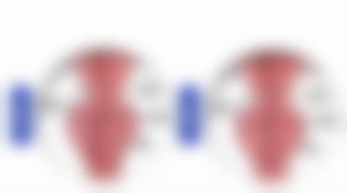内双眼皮究竟是如何“诞生”的?内眦赘皮影响