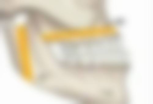 瘦脸针何时显效？3 - 7 天初步起效，1 - 3 个月达高峰展现显著瘦脸效果 