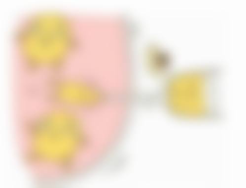 隆鼻玻尿酸价格区间咋样?知晓范围,畅享自然持久成效