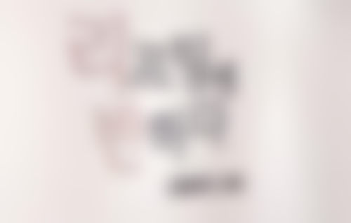 三、韩国俪伴整形医院医生介绍