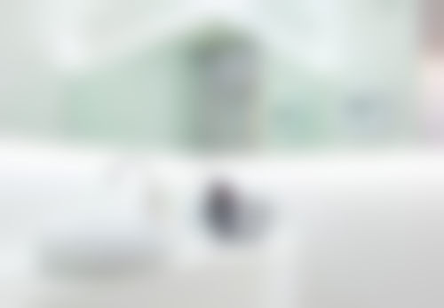 七、韩国俪伴整形医院价格表:(仅供参考)