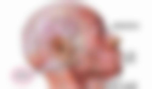提眉和眼袋术后护理关键要点